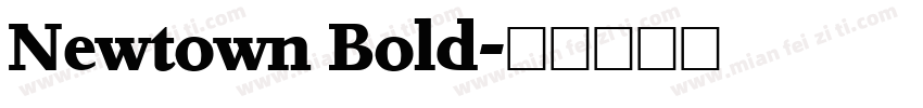 Newtown Bold字体转换